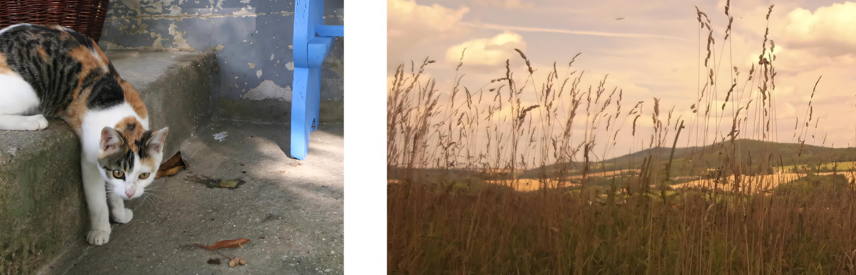 Chata Konojedy Chata Konojedy